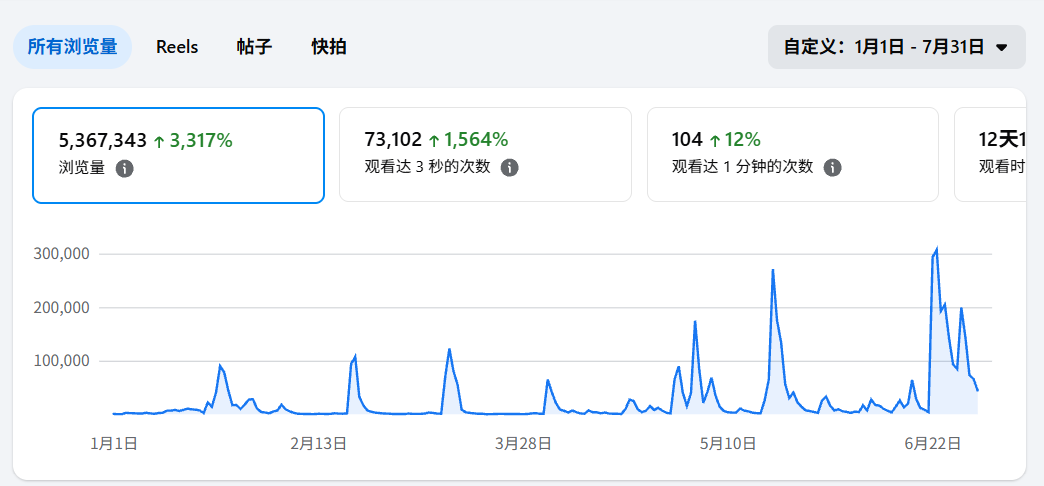 Meta performance overview showing total reach and viewing activity